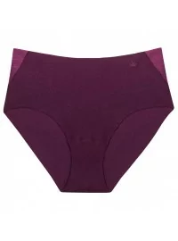 Triumph Flex Smart Maxi EX 3391