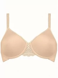 Triumph My Perfect Shaper WP