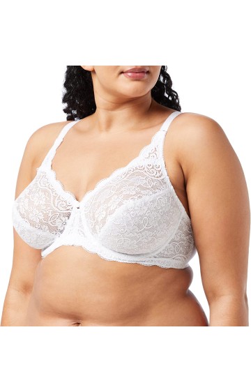 Triumph Amourette 300 W 0003