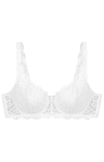 Triumph Amourette 300 WHP 0003