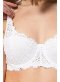 Triumph Amourette 300 WHP 0003