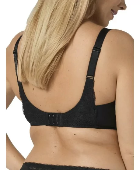 Triumph Modern Feeling WP