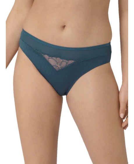 Triumph Azalea Florale Tai 6441