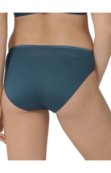 Triumph Azalea Florale Tai 6441