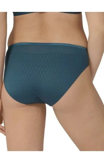 Triumph Azalea Florale Tai 6441