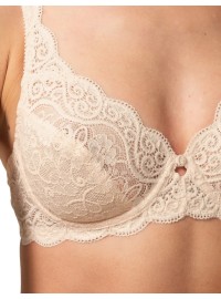 Triumph Amourette 300 W 1196