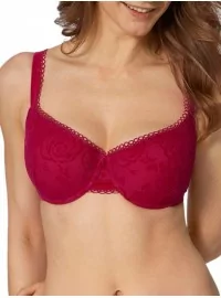 Triumph Velvet Rose Spotlight WHP 2370