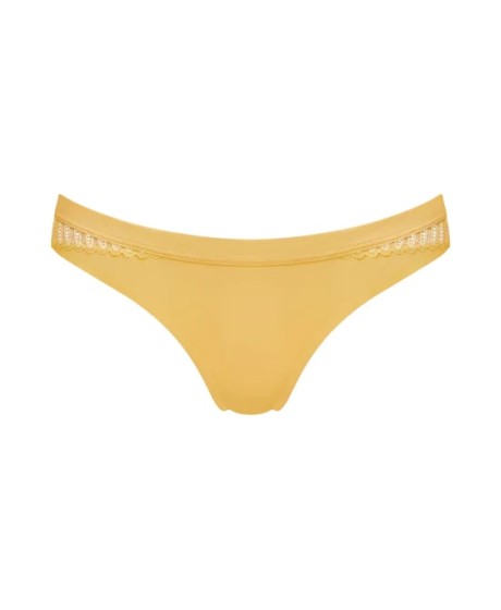 Triumph Aura Spotlight High Leg string