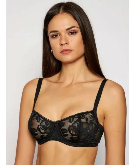 Triumph Illustrated Rose W