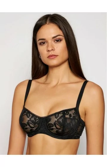 Triumph Illustrated Rose W Triumph Illustrated Rose W