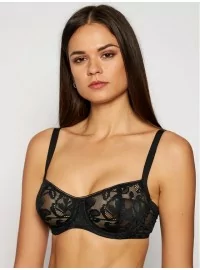 Triumph Illustrated Rose W