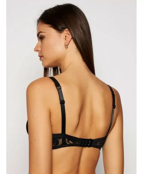 Triumph Illustrated Rose W