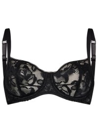 Triumph Illustrated Rose W