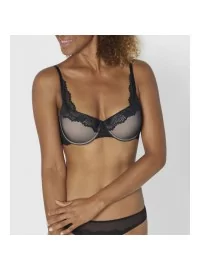 Triumph Lace Spotlight WHP Triumph Lace Spotlight WHP