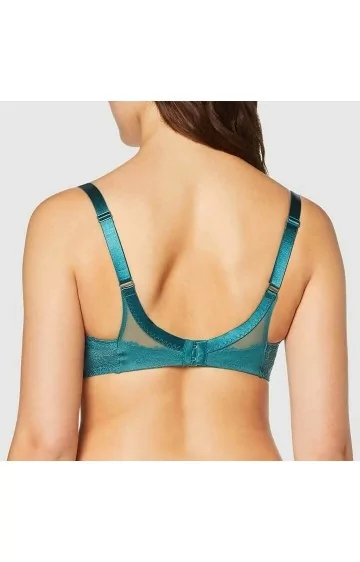 Triumph Lace Spotlight WP