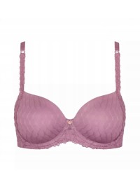 Triumph Azalea Florale WP