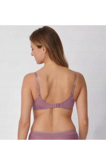 Triumph Azalea Florale WP