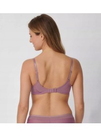 Triumph Azalea Florale WP