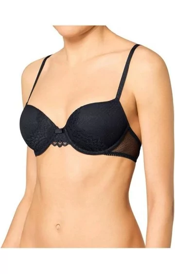 Triumph Darling Spotlight WHP Triumph Darling Spotlight WHP