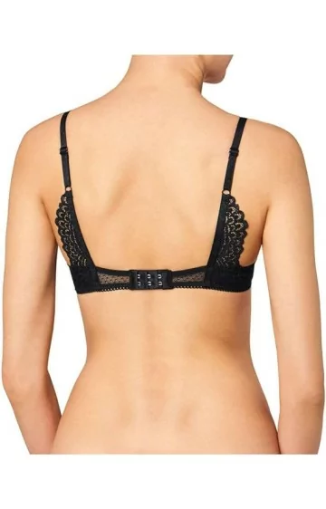 Triumph Darling Spotlight WHP Triumph Darling Spotlight WHP