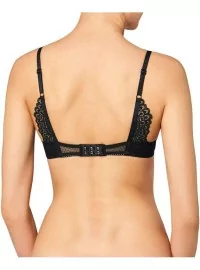 Triumph Darling Spotlight WHP Triumph Darling Spotlight WHP