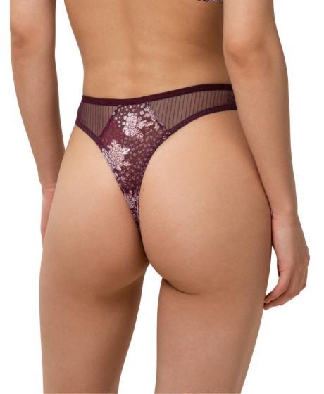 Triumph Lavish Spotlight High Waist Thong