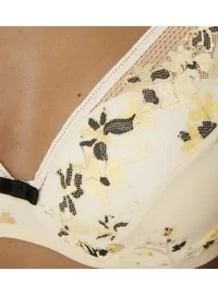 Triumph Electra Spotlight WP