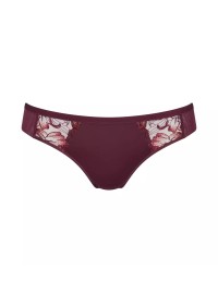 Triumph Freesia Florale Brazilian