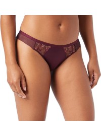 Triumph Freesia Florale Brazilian