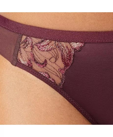 Triumph Freesia Florale Brazilian