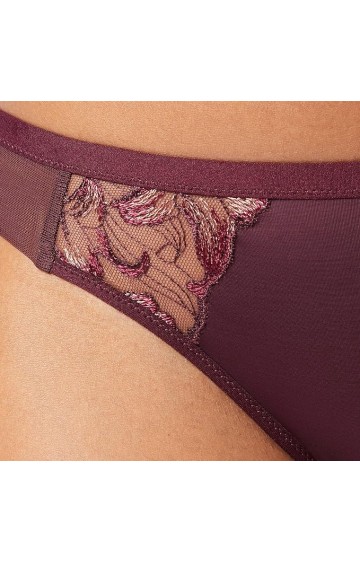 Triumph Freesia Florale Brazilian