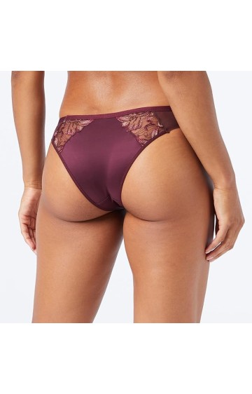 Triumph Freesia Florale Brazilian