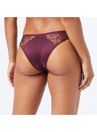 Triumph Freesia Florale Brazilian