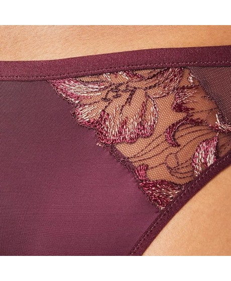 Triumph Freesia Florale Brazilian