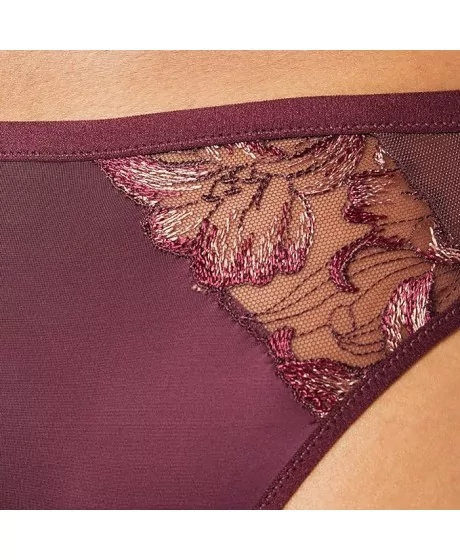 Triumph Freesia Florale Brazilian