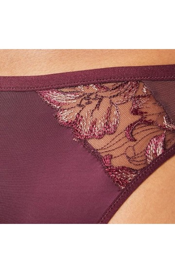 Triumph Freesia Florale Brazilian