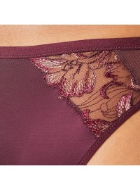 Triumph Freesia Florale Brazilian