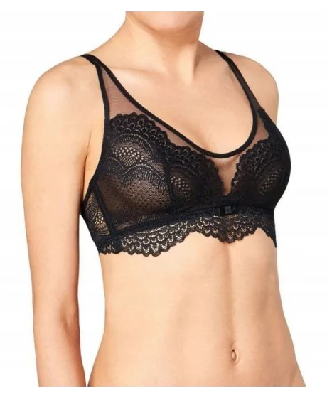 Triumph Darling Spotlight N