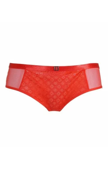 Triumph Ornamental Lace Hipster