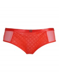 Triumph Ornamental Lace Hipster