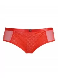 Triumph Ornamental Lace Hipster