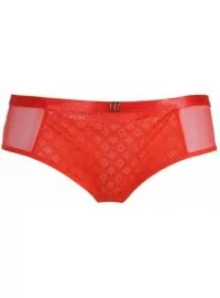 Triumph Ornamental Lace Hipster