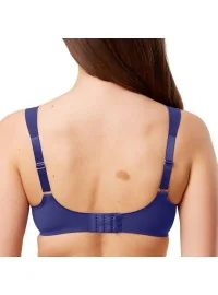 Triumph Essential Minimizer T W