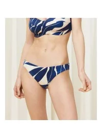 Triumph Summer Allure Rio Brief