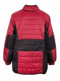 Dygsniuota Sheego striukė