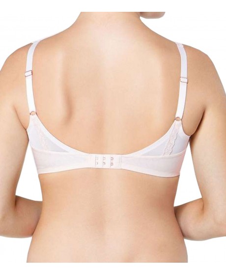 Triumph Azalea Florale W01