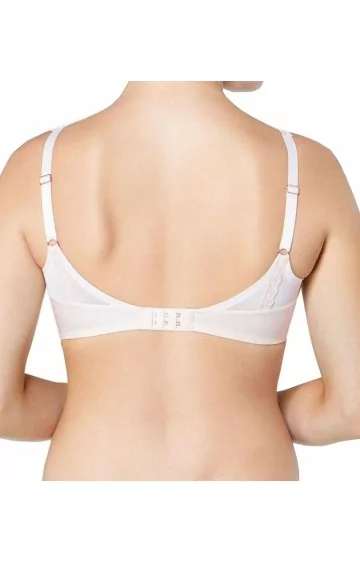 Triumph Azalea Florale W01