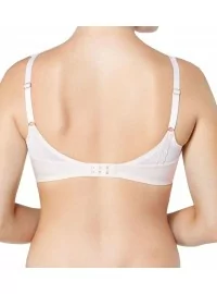 Triumph Azalea Florale W01