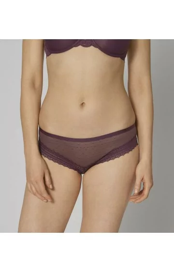 Triumph Tempting Tulle Hipster