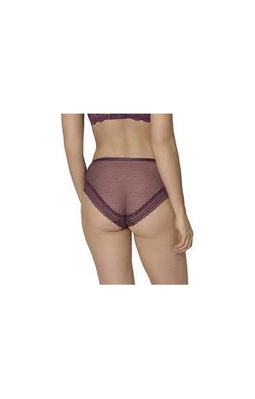 Triumph Tempting Tulle Hipster